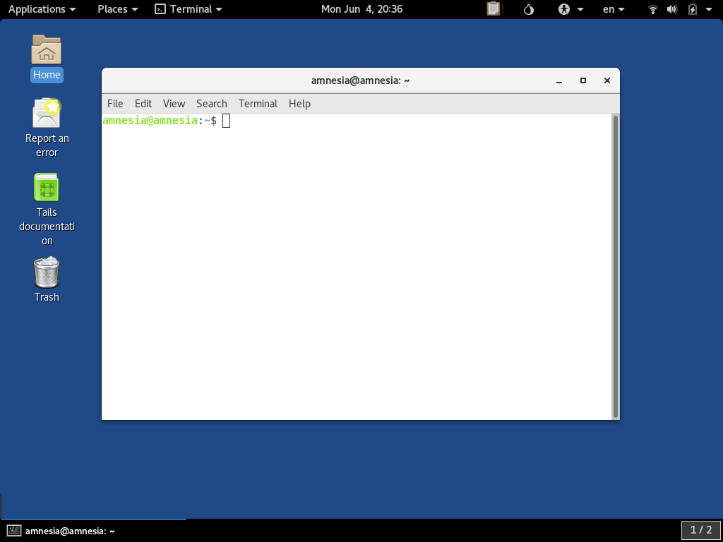 TAILS Terminal Launched